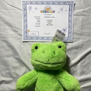 Build A Bear Exclusive Green Spring Frog Stuffed